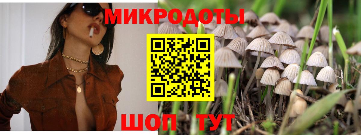 Галлюциногенные грибы Psilocybine cubensis  Вход с VPN  Касимов 